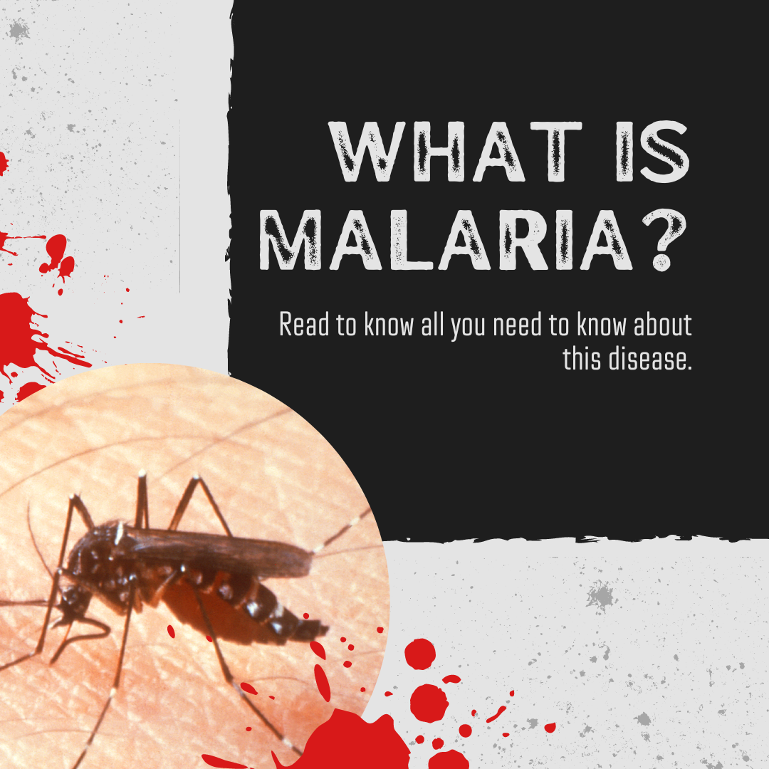 what is malaria