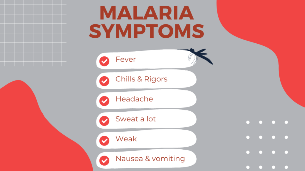 malaria symptoms