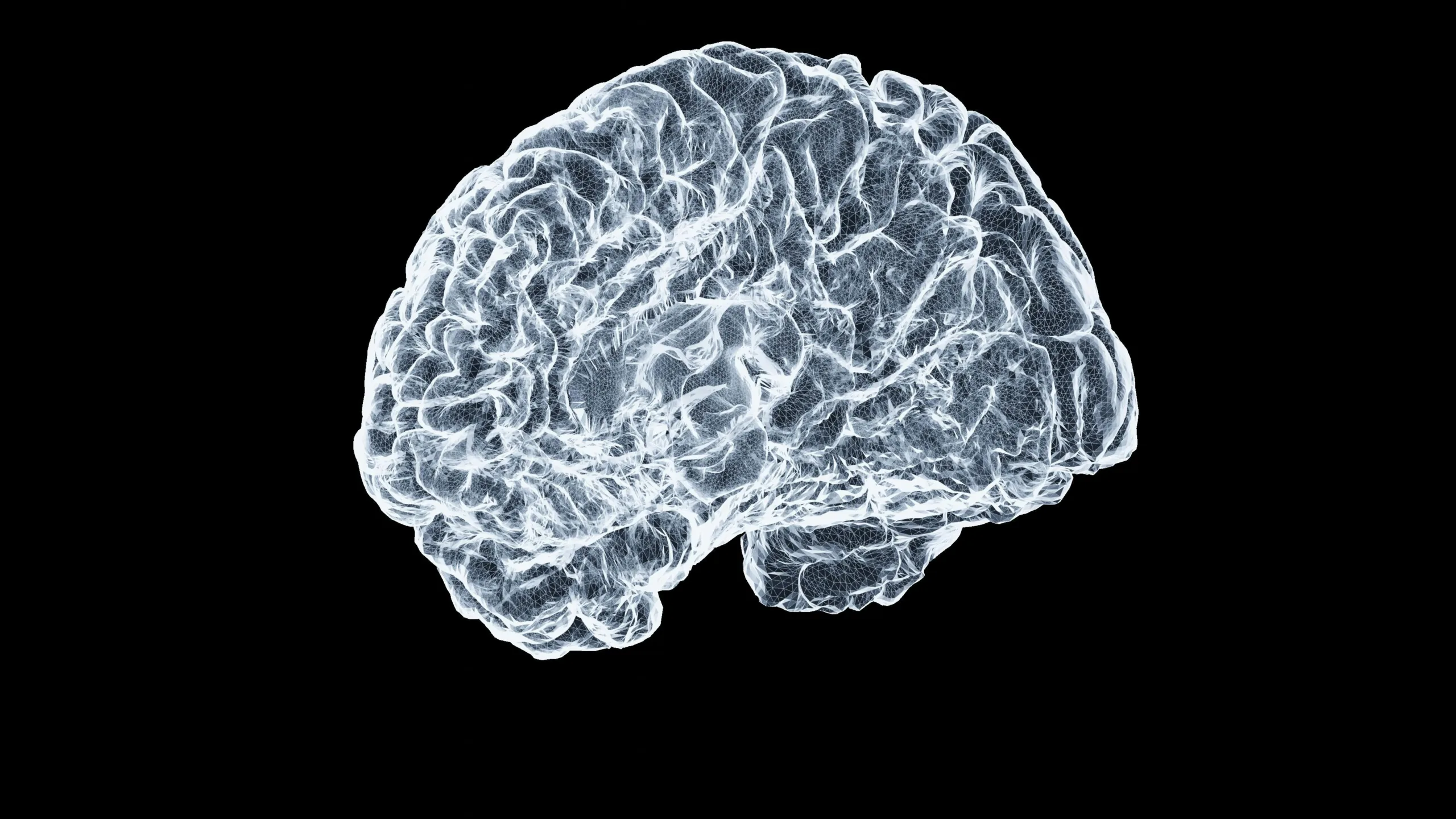 neurowellness